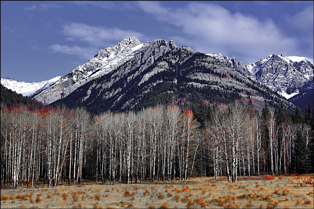 Along the Bow Valley Parkway